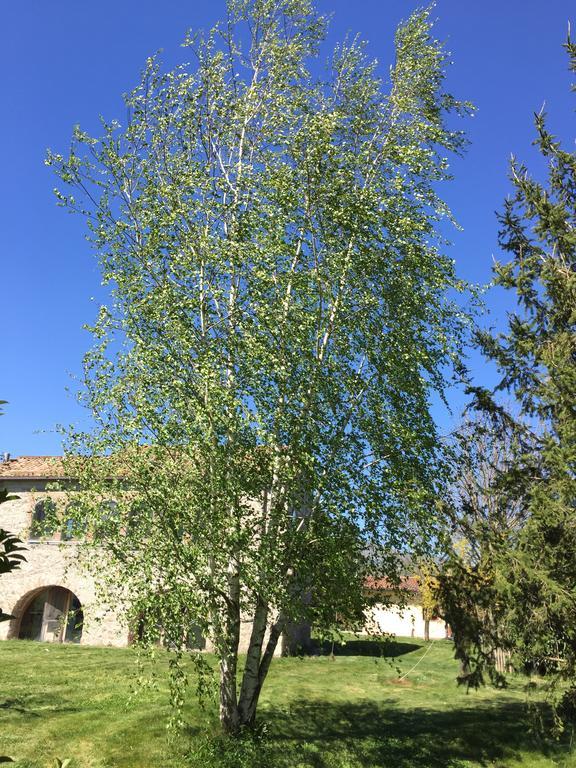 산 마시모 Agriturismo Le Due Arcate 빌라 외부 사진