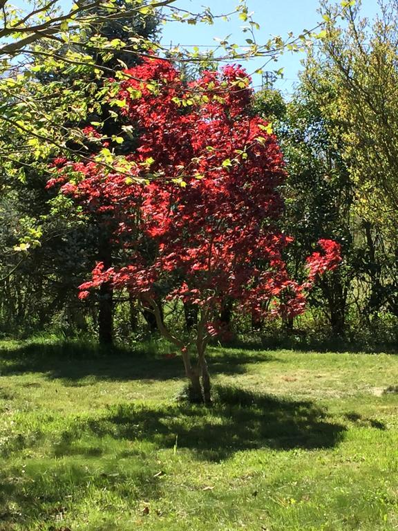 산 마시모 Agriturismo Le Due Arcate 빌라 외부 사진